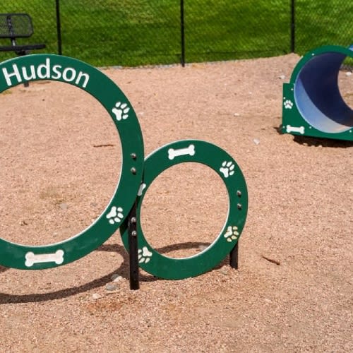 Hudson at Highline Apartments in Denver, Colorado Dog Park