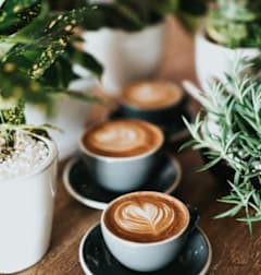 Three cups of coffee with latte art on a wooden table surrounded by green plants.