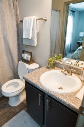The Southern Apartments Bathroom with Wood-Style Flooring and Modern Brushed Nickel Fixtures