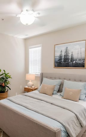 A bedroom with a bed, a plant, a lamp, and a picture on the wall.