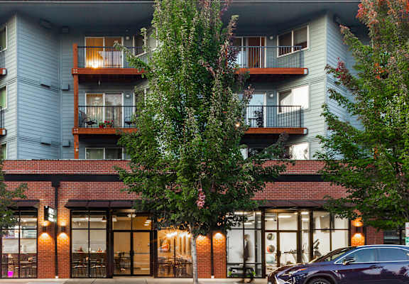 an exterior view of a building with trees in front of it