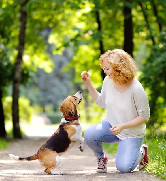 A woman is playing with a dog in a park.