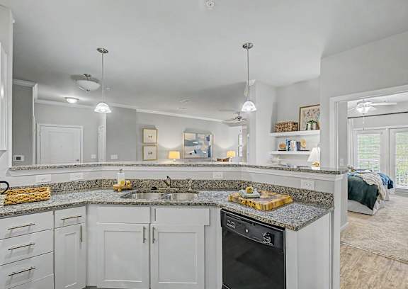 A kitchen with a granite countertop and a dishwasher.