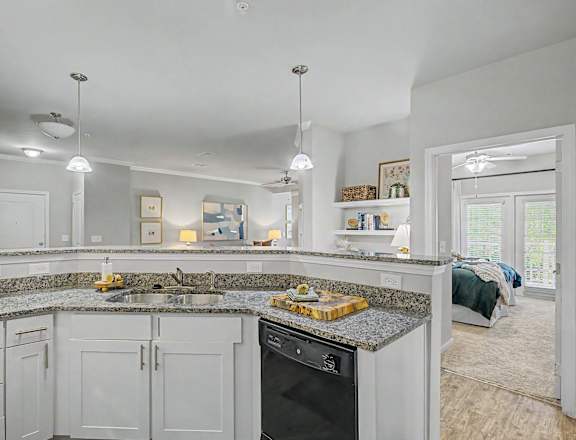 A kitchen with a granite countertop and a dishwasher.