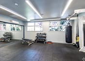 Thumbnail 5 of 11 - A gym with a punching bag, weights, and exercise equipment.