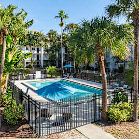 A pool surrounded by palm trees and a fence.