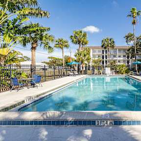 A swimming pool surrounded by palm trees and a fence.