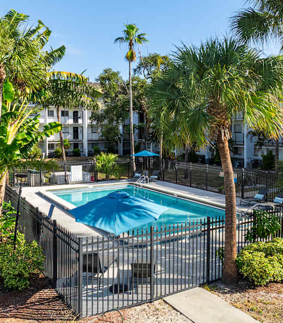 A pool surrounded by palm trees and a fence.