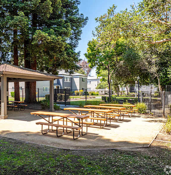 A pavilion with picnic tables is surrounded by trees.