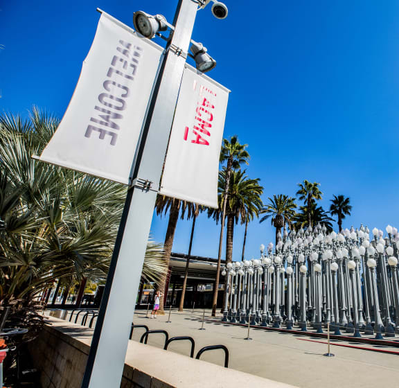 a line of parking meters in front of a building with palm trees