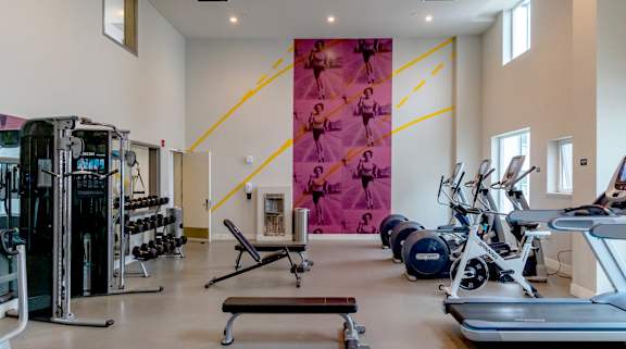 A gym with a variety of equipment including treadmills, weights, and exercise machines.