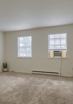 an empty room with two windows and a cactus in the corner