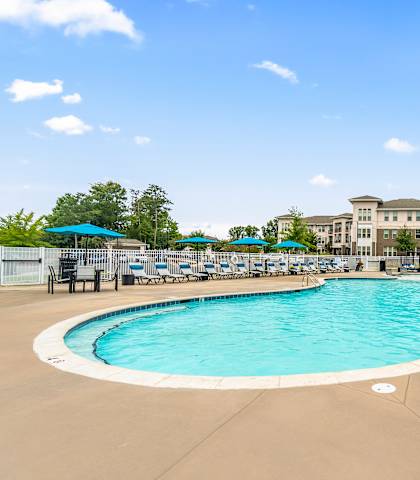 our resort style swimming pool is surrounded by lounge chairs and umbrellas at Sycamore at Tyvola, Charlotte, North Carolina