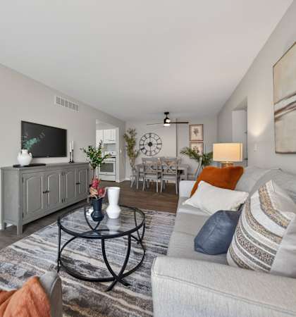 A living room with a grey sofa, a coffee table, and a television.