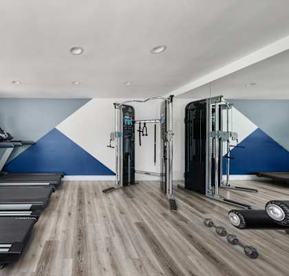 A gym with treadmills, elliptical machines, and dumbbells.