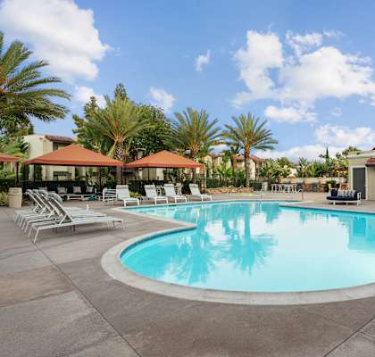 A large swimming pool surrounded by lounge chairs and palm trees.