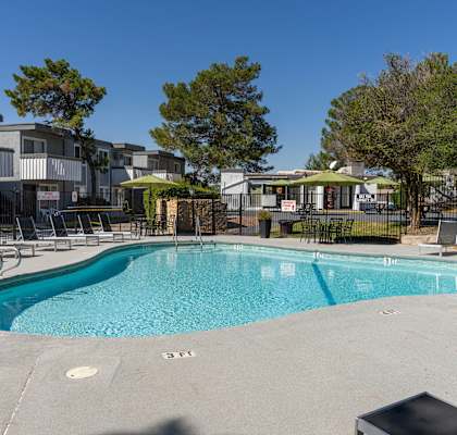 the swimming pool at the falls at rolland park apartments tx