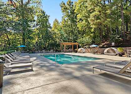 A pool surrounded by trees and sun loungers.