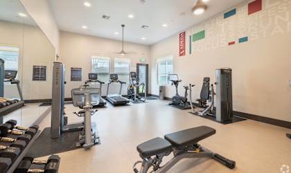 a gym with cardio machines and weights on the floor and a wall of windows