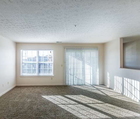A sunny room with a large window and a carpet on the floor.