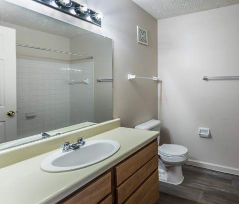 A bathroom with a toilet, sink, and mirror.