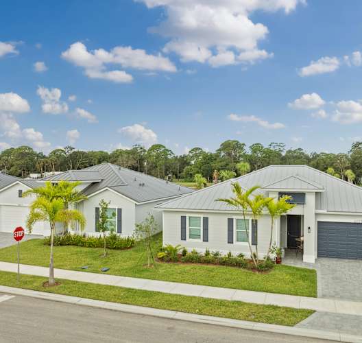 a group of white houses with palm trees in front of them