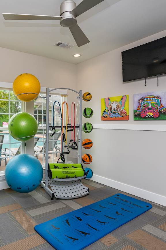A spacious gym with treadmills, elliptical machines, and a television at Waterleaf at Neely Ferry Apartments, Simpsonville, SC 29680
