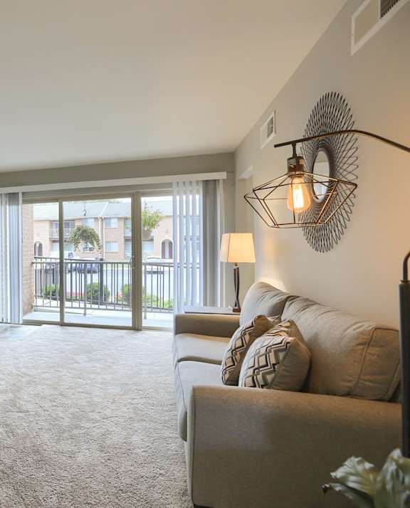 a living room with a couch chair and a potted plant in front of a sliding glass