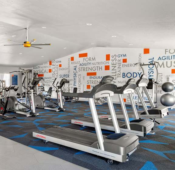 Cardio Machines at Denim Scottsdale, Arizona, 85251