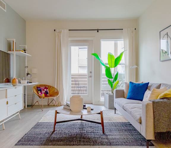 A living room with a white couch, a chair, a TV, and a plant.