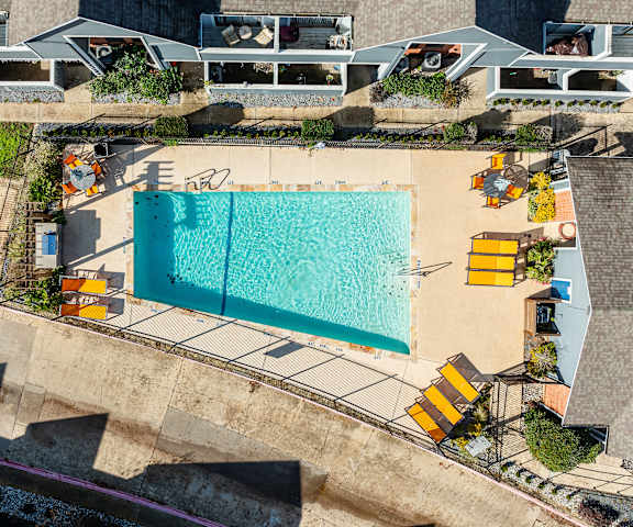 A large swimming pool surrounded by yellow sun loungers.