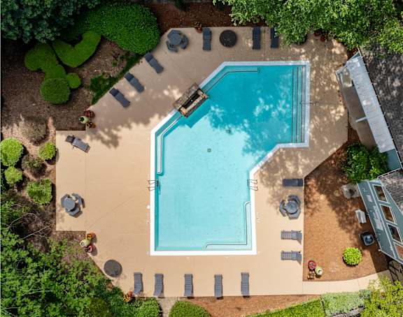 arial view of a swimming pool in a backyard with trees