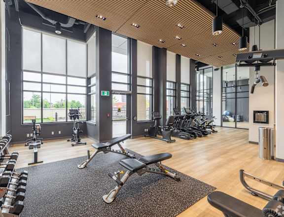 a gym with weights and exercise machines and large windows