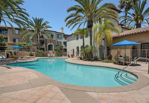 A swimming pool surrounded by palm trees and a building in the background.