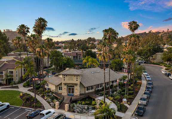 A sunny day in a residential area with a house and palm trees.
