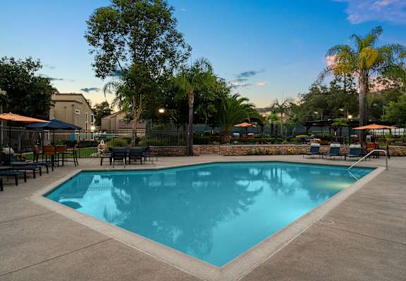A large swimming pool surrounded by trees and lounge chairs.