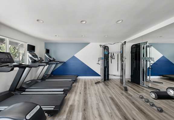 A gym with treadmills, elliptical machines, and dumbbells.