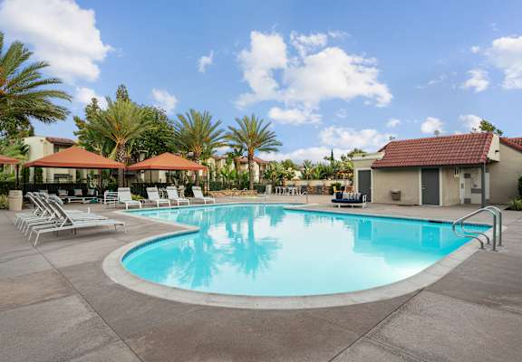 A large swimming pool surrounded by lounge chairs and palm trees.
