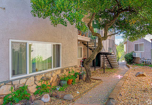 A tree with green leaves is in front of a house.