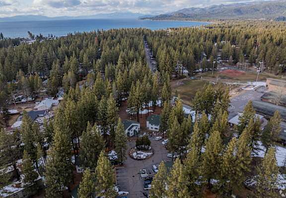 A forest of trees with a parking lot in the foreground.