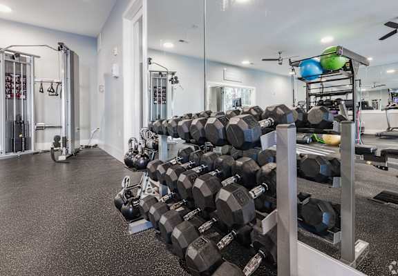 a gym with a rack of dumbbells in it
