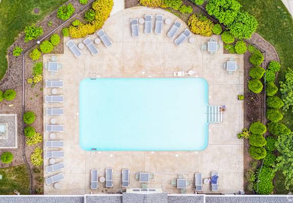 An aerial view of a swimming pool surrounded by sun loungers and trees.