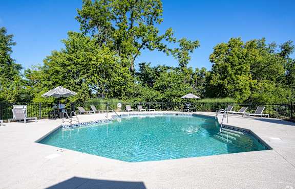 A large outdoor swimming pool surrounded by trees and lounge chairs.