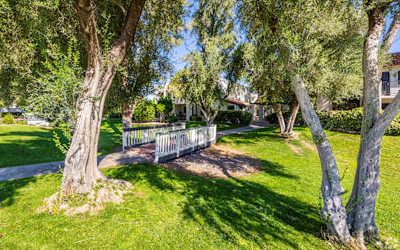 A tree-lined path with a white fence in the middle.