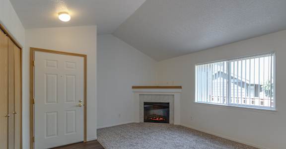 A room with a fireplace and a door.