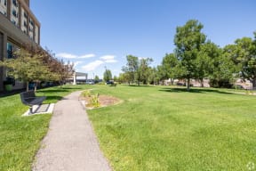 a park with grass and trees next to a building
