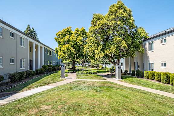 A row of apartment buildings with a tree in the middle.