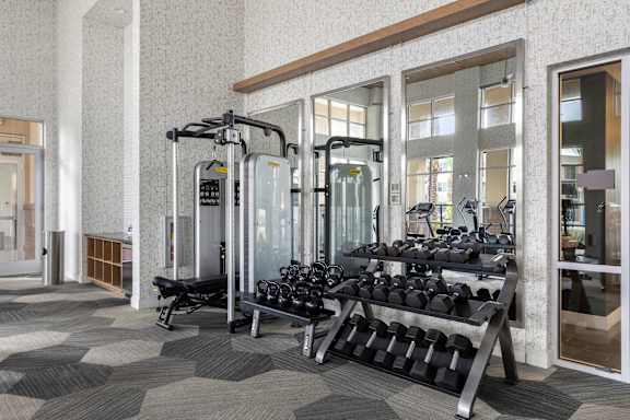 A gym with a row of exercise bikes and a rack of kettlebells.