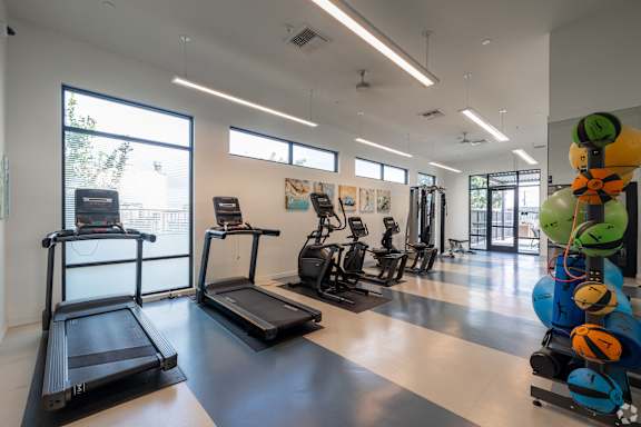 A gym with treadmills, exercise bikes, and a row of dumbbells.