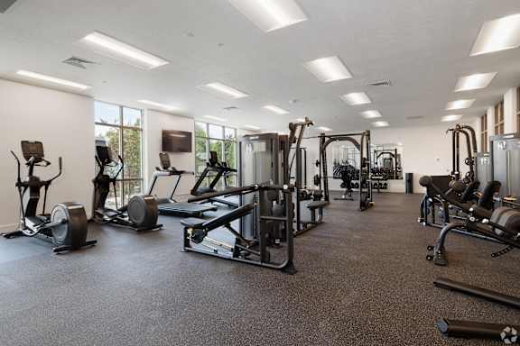 A spacious gym with a variety of equipment.